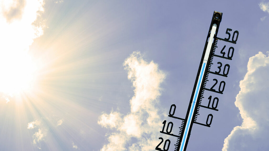 Jemanden Die Kalte Schulter Zeigen Woher Kommt Das So zeigen Sie der Hitzewelle die kalte Schulter - Rathaus Apotheke